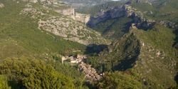 Echappée verte dans les gorges de l'Hérault